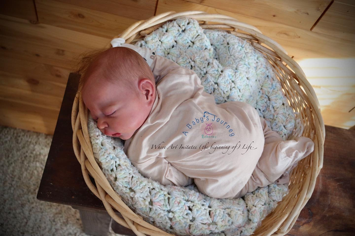 A BABY'S JOUNREY REBORNS