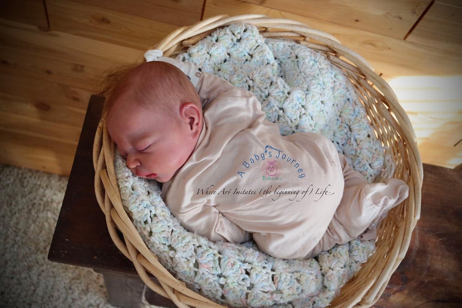 A BABY'S JOUNREY REBORNS — photo 11