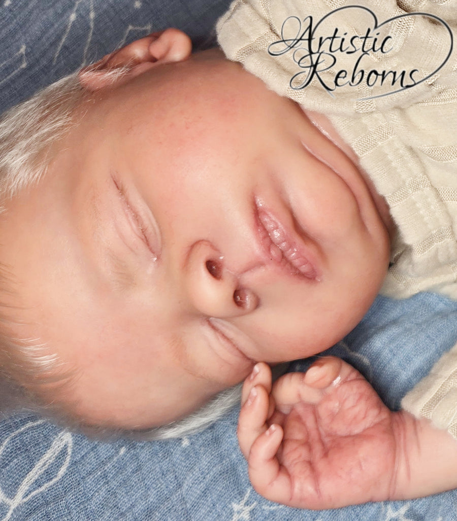 Artistic Reborns