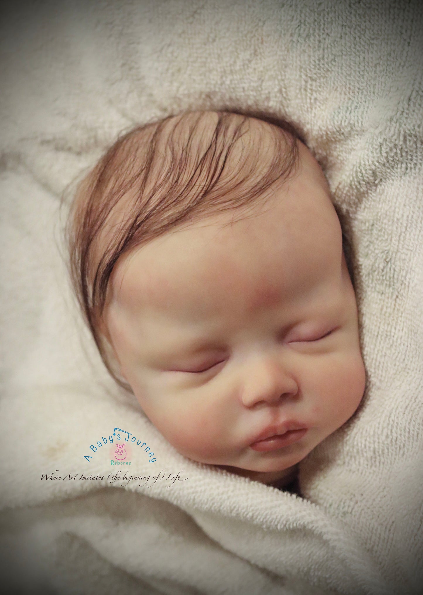 A BABY'S JOUNREY REBORNS