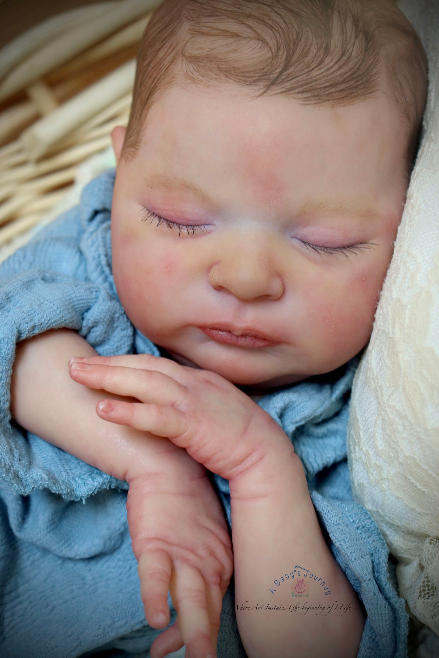 A BABY'S JOUNREY REBORNS