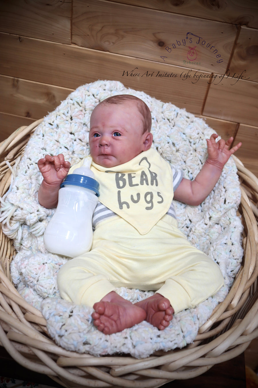 A BABY'S JOUNREY REBORNS — photo 6