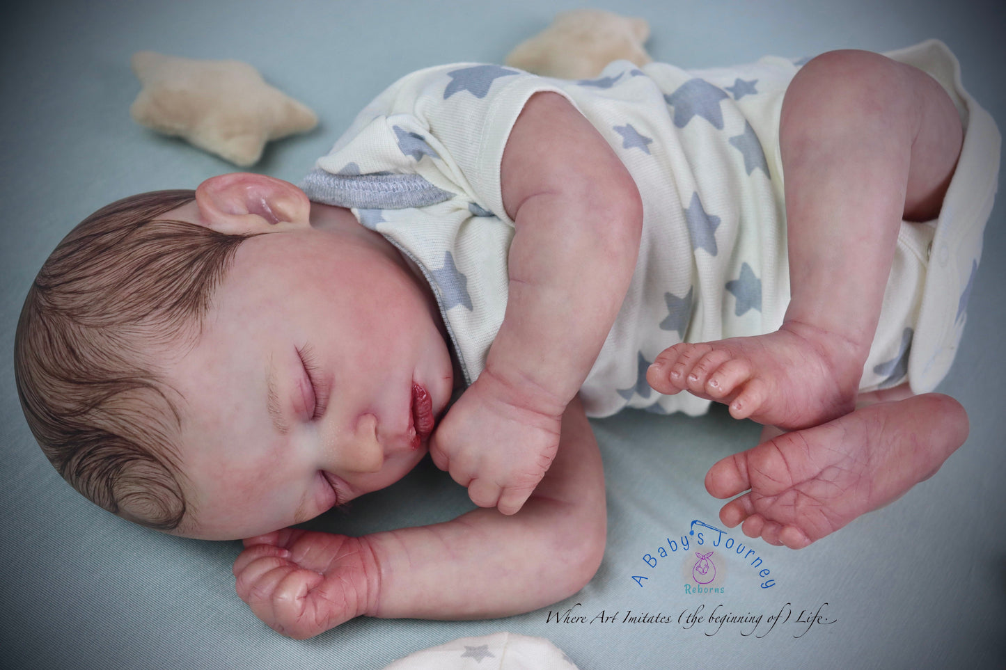 A BABY'S JOUNREY REBORNS