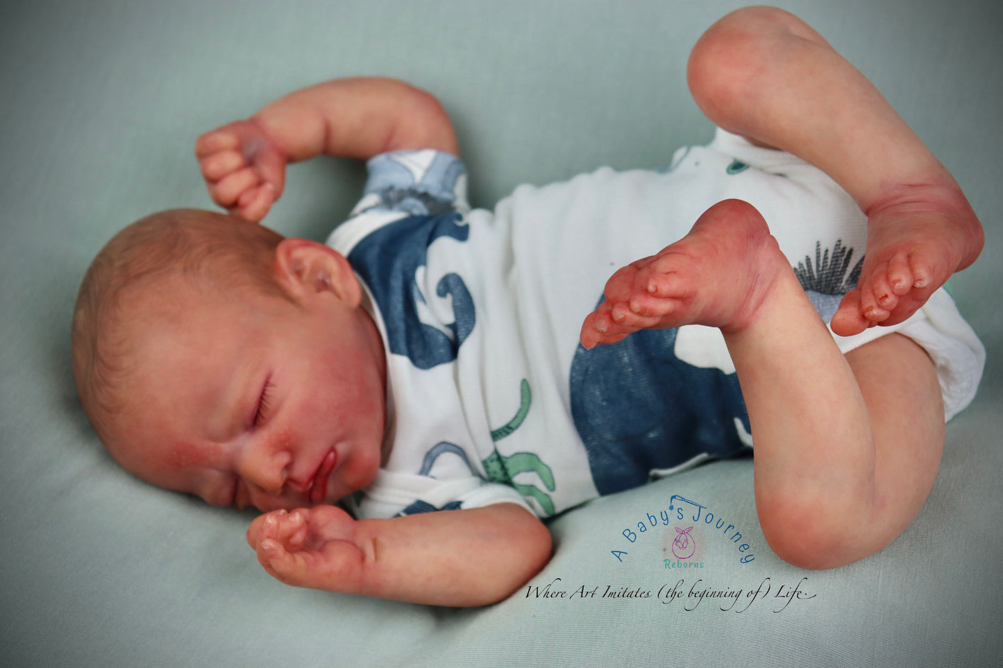 A BABY'S JOUNREY REBORNS