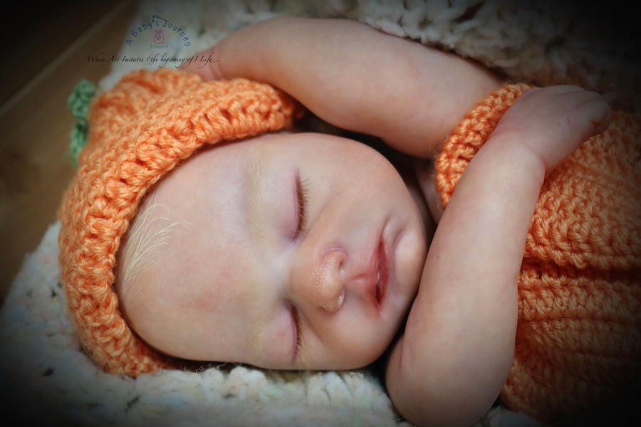 A BABY'S JOUNREY REBORNS — photo 8