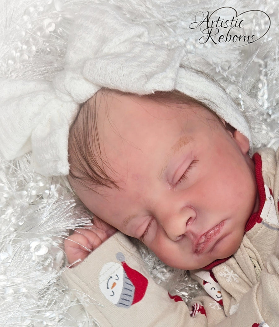 Artistic Reborns — photo 9