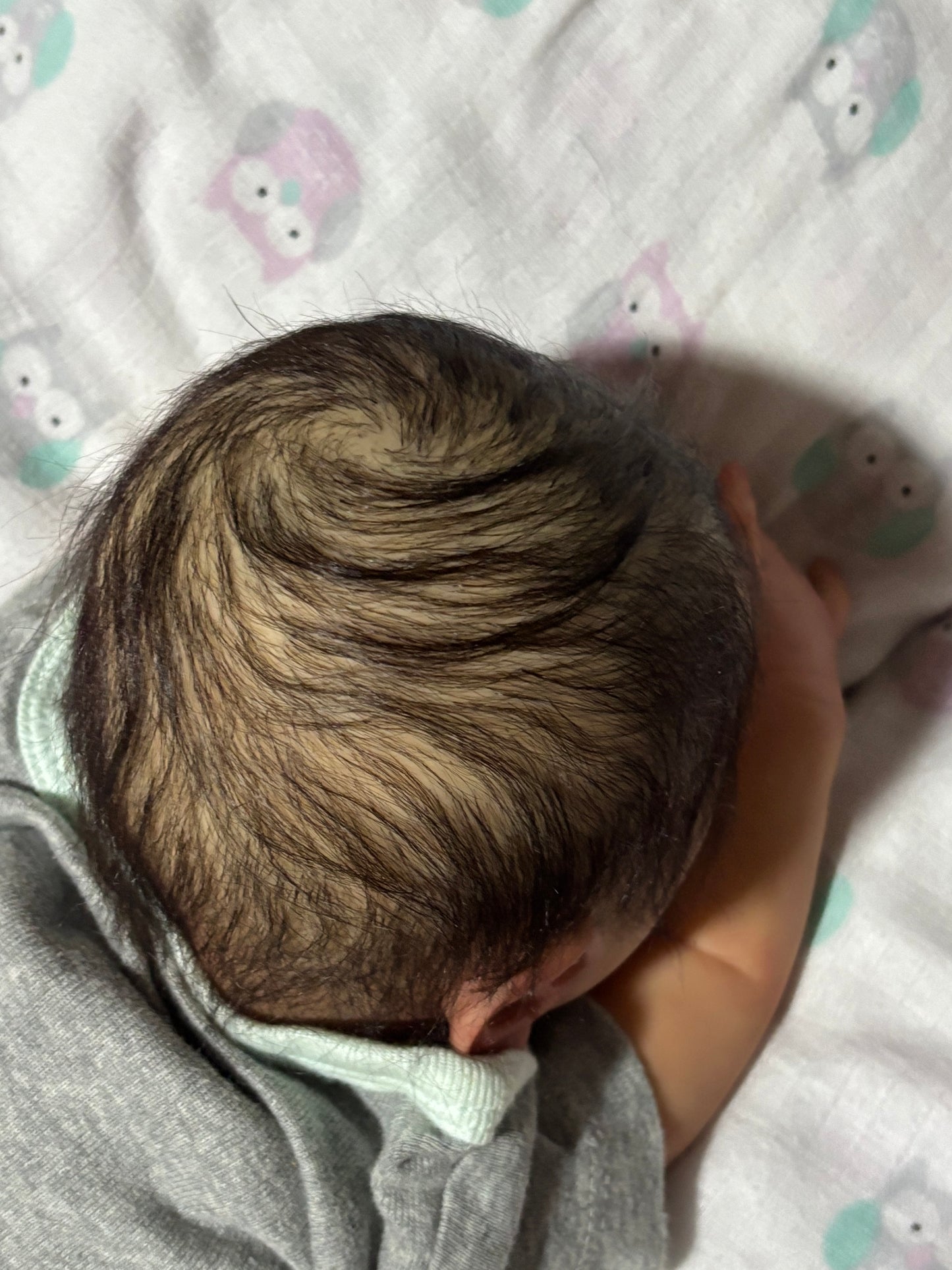 ARYAMLEE’S REBORN NURSERY