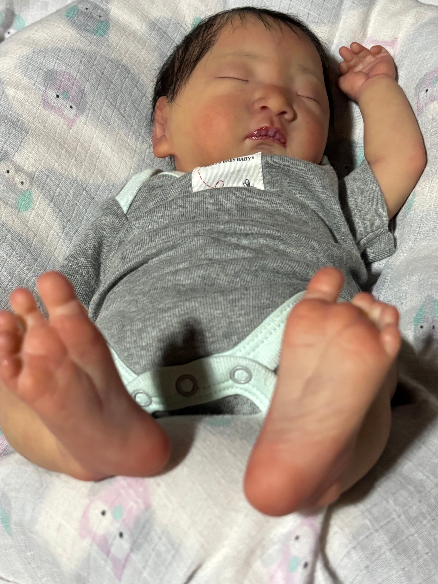 ARYAMLEE’S REBORN NURSERY