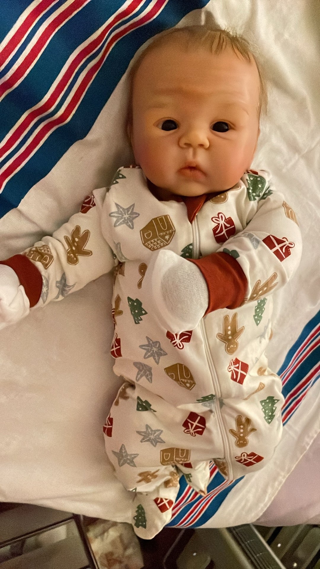 BABYTOTS REBORN NURSERY