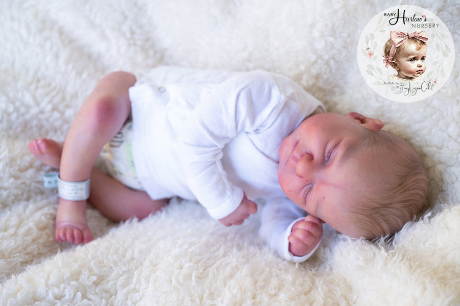BABY HARLOW'S NURSERY — photo 4