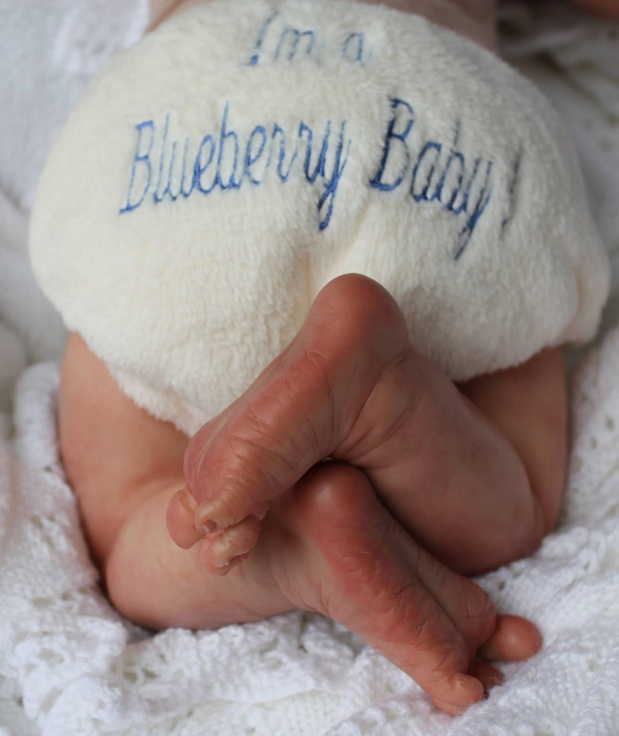 Blueberry Babies — photo 2