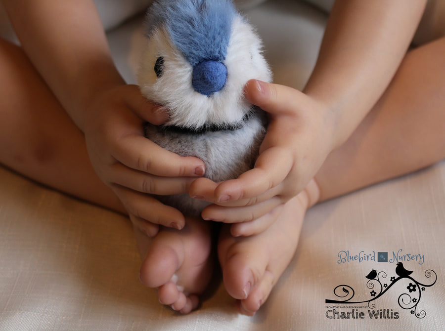 BLUEBIRD NURSERY — photo 6