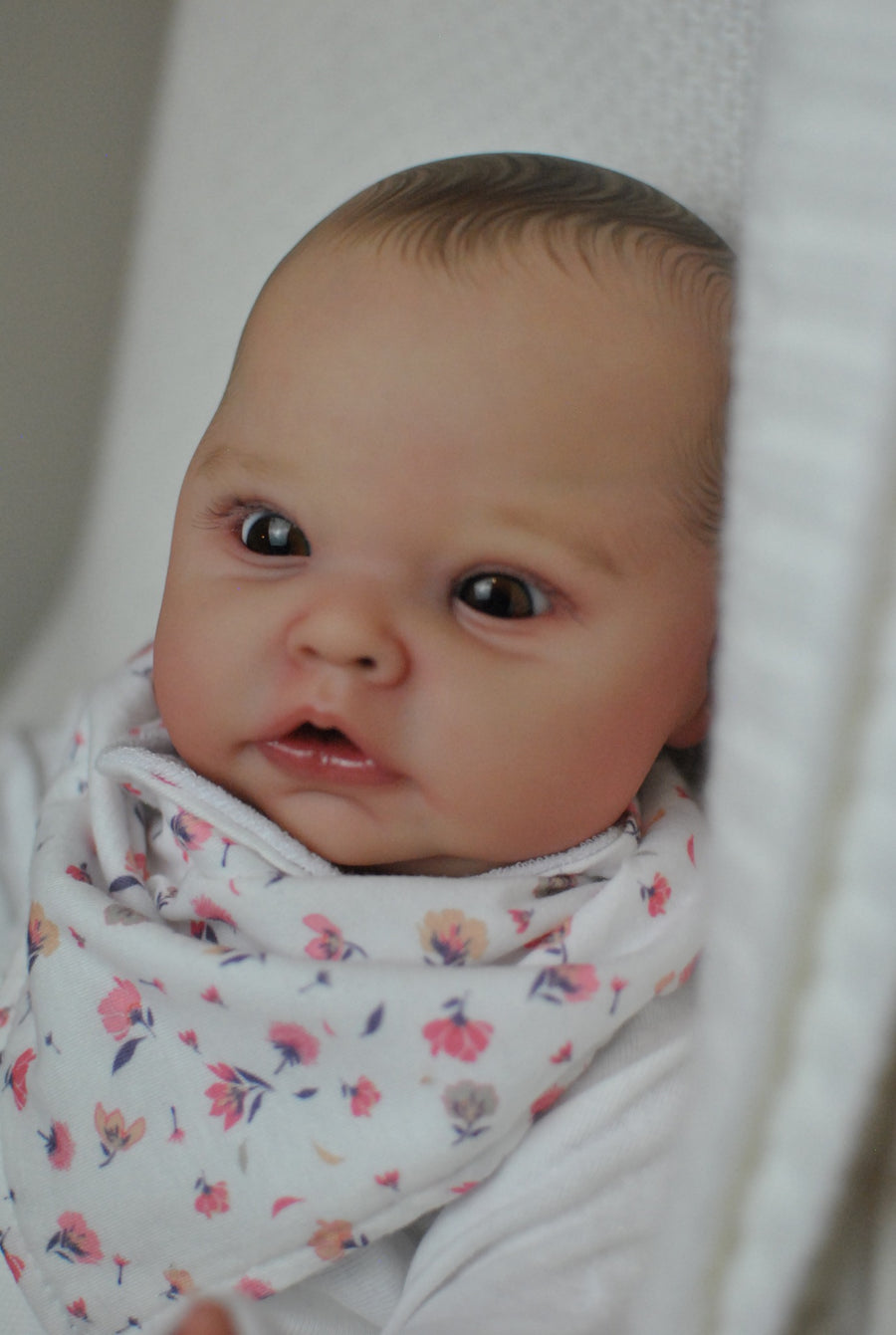 BORN AGAIN REBORNS — photo 5