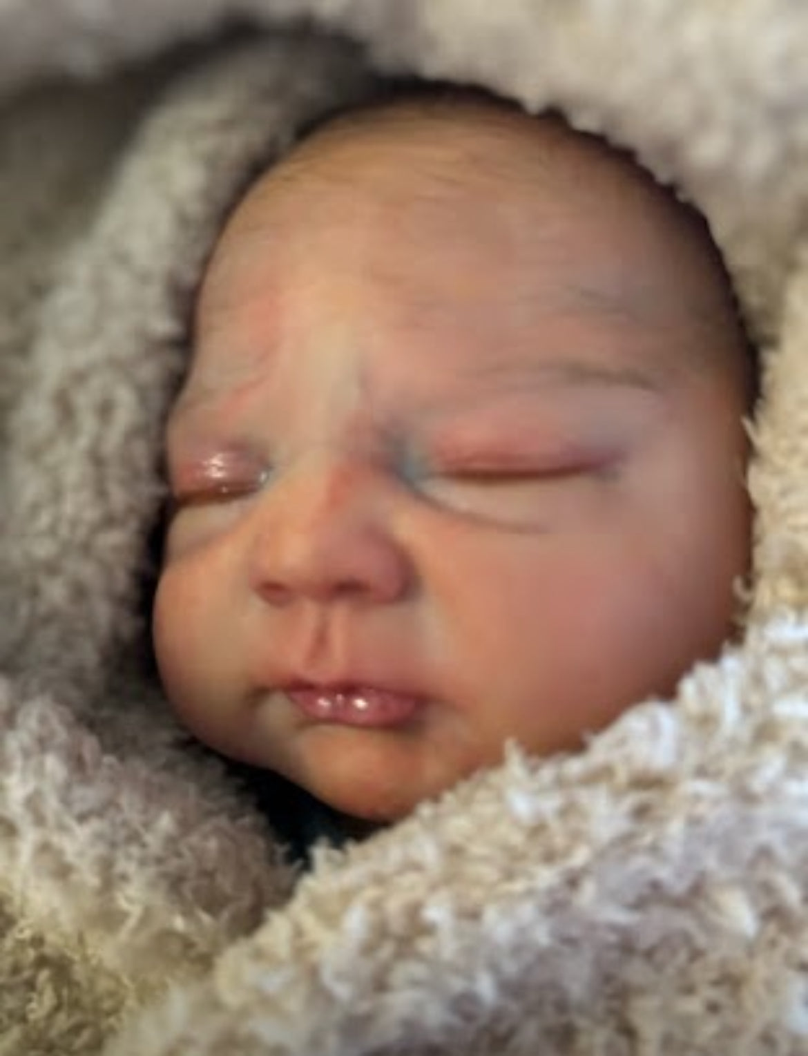 CARMIN'S REBORN NURSERY