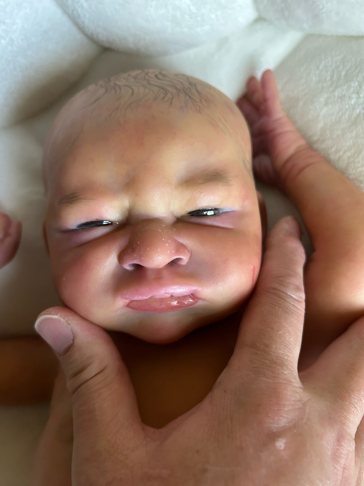CARMIN'S REBORN NURSERY