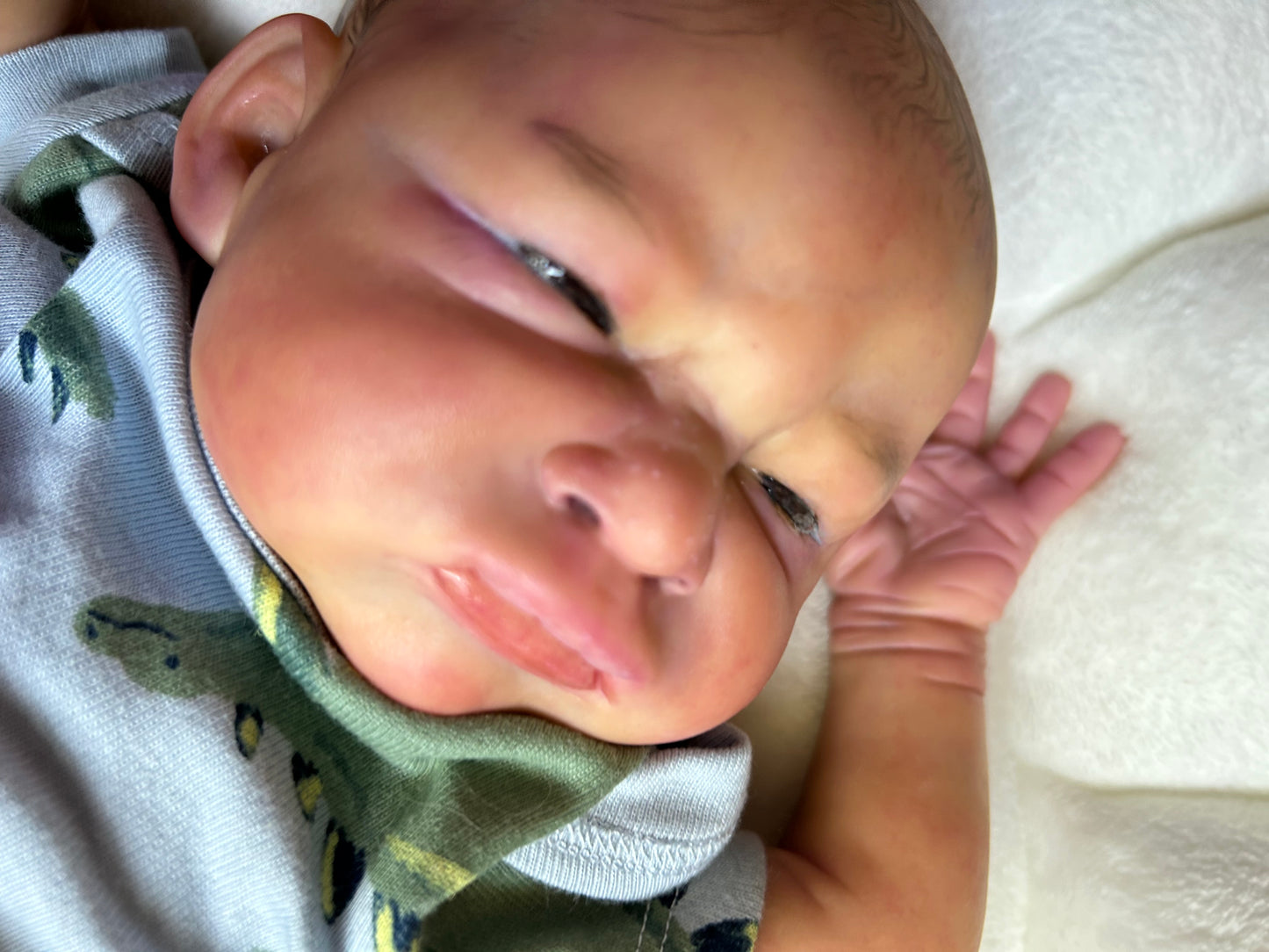 CARMIN'S REBORN NURSERY