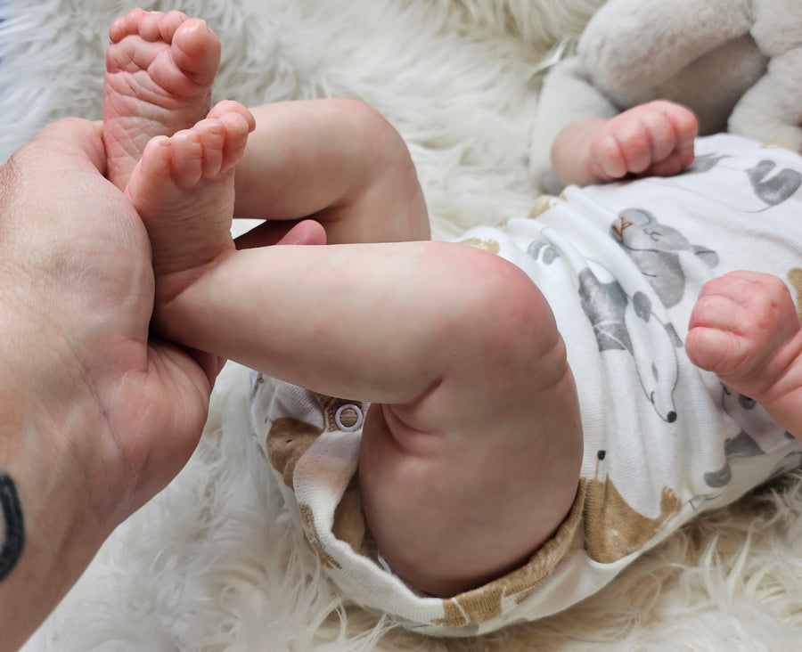 CAPTURED MOMENTS NURSERY — photo 6