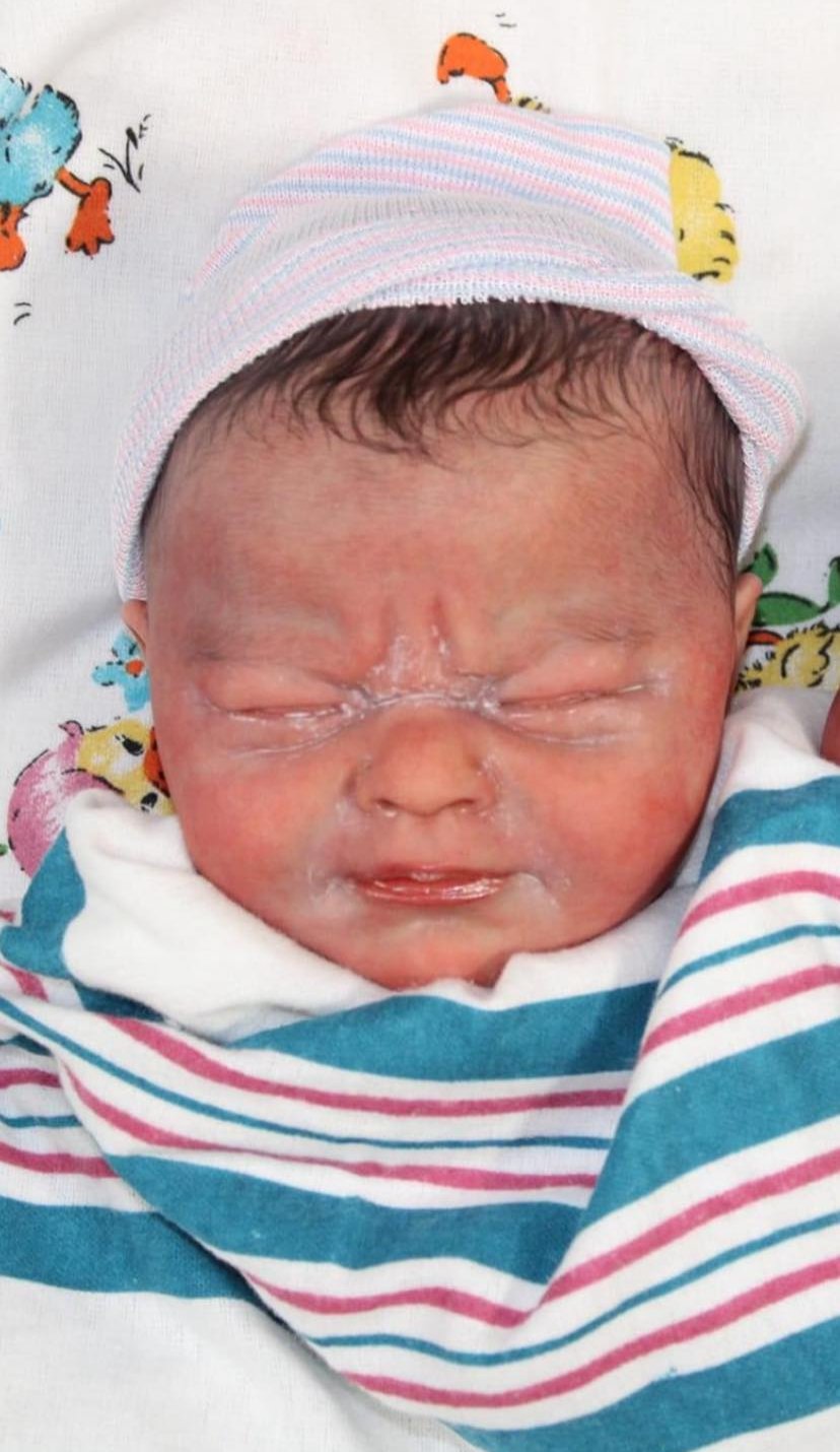 CARTE REBORN BABIES NURSERY