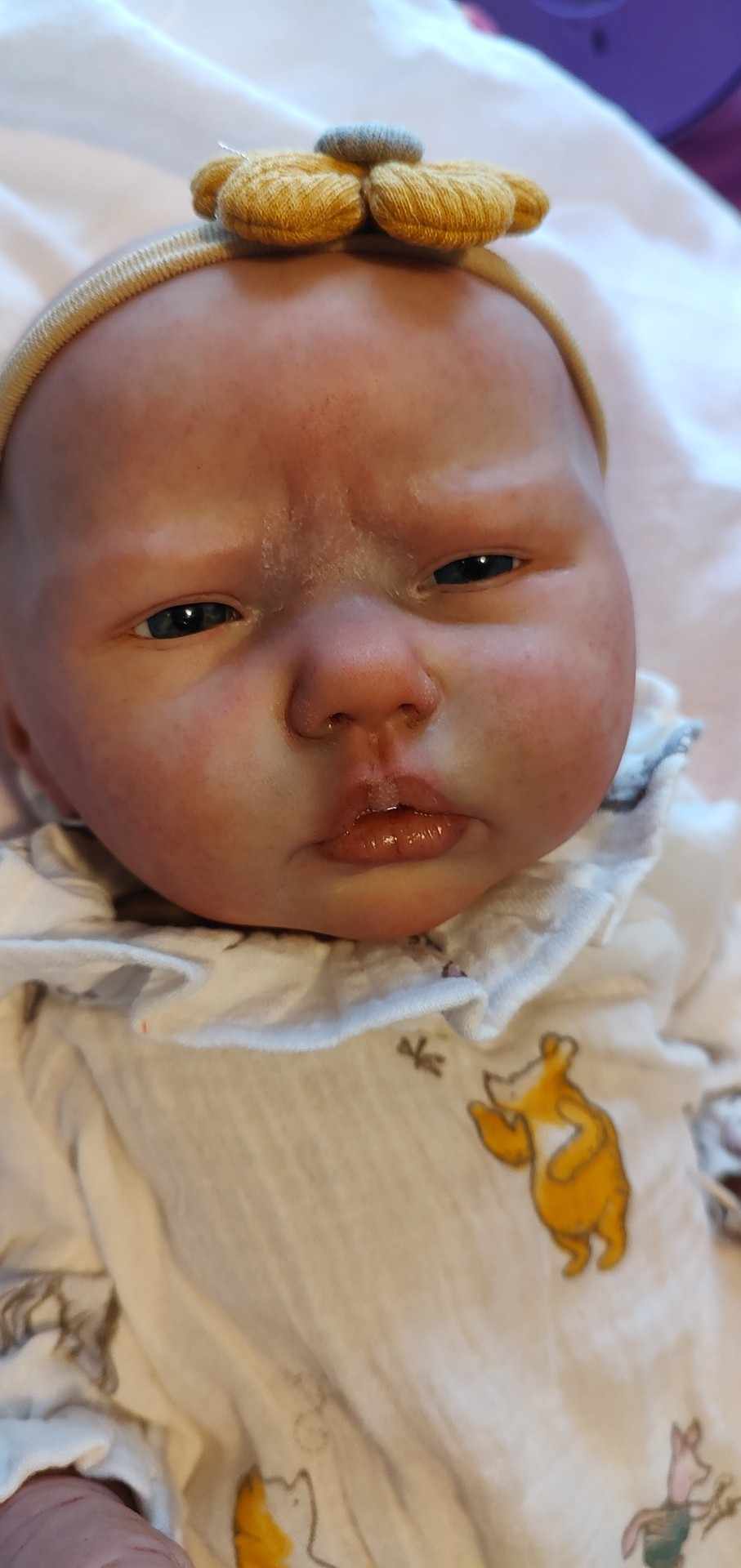 CARTE REBORN BABIES NURSERY