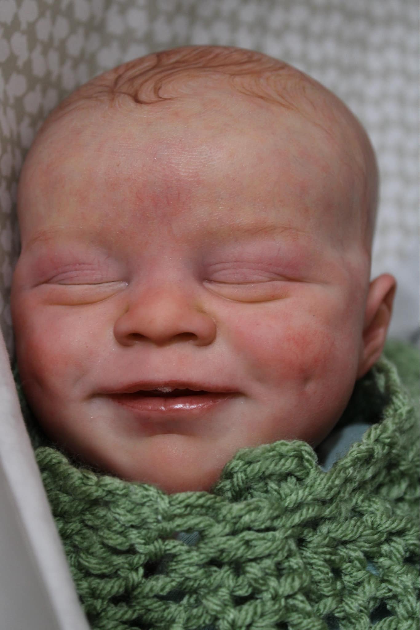 CARTE REBORN BABIES NURSERY