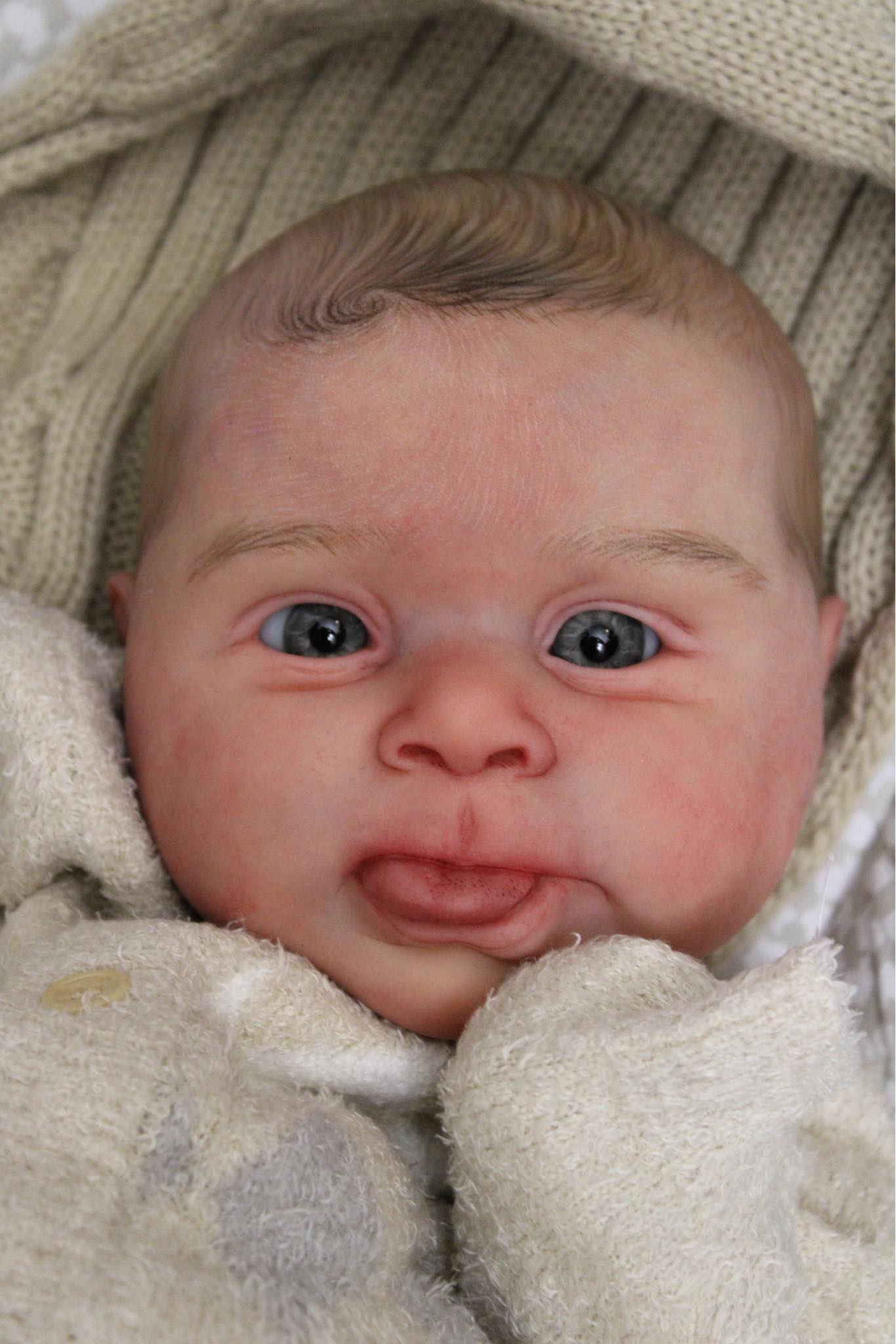 CARTE REBORN BABIES NURSERY