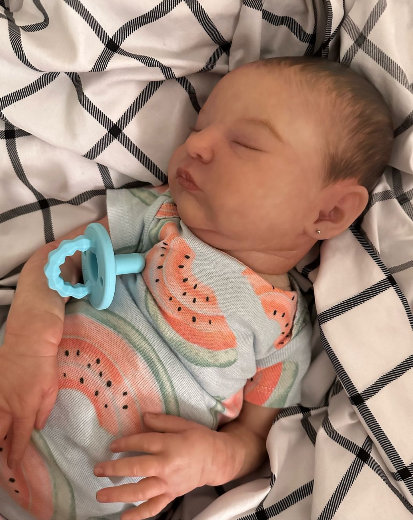 CHASING BEES NURSERY