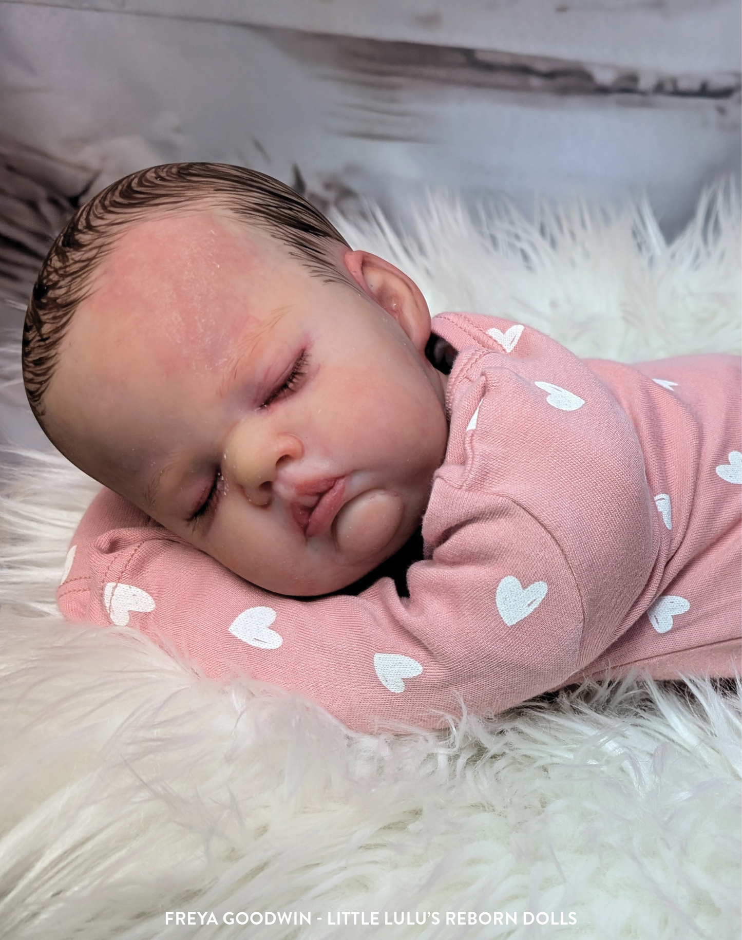Cuddle Reborn Entry (Entry Level)