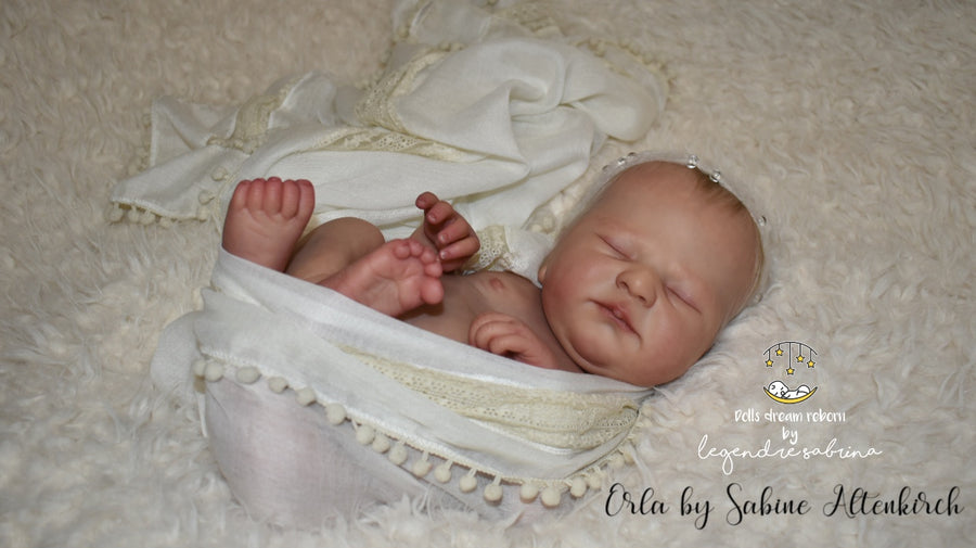 DOLLS DREAM REBORN — photo 11