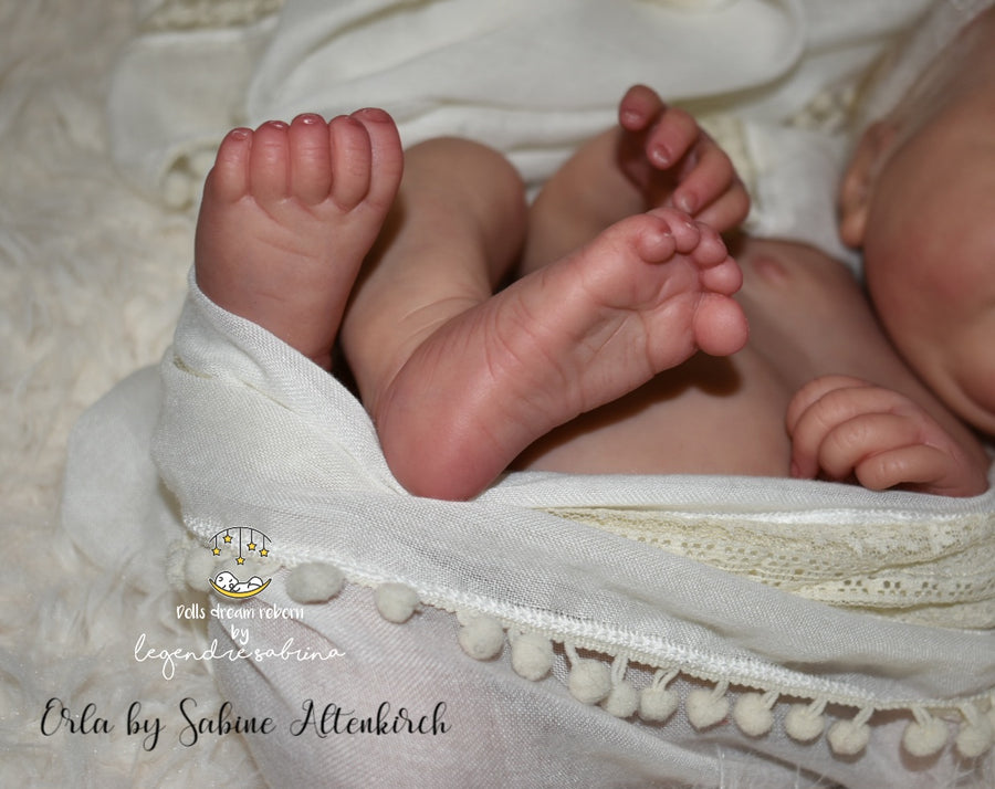DOLLS DREAM REBORN — photo 10