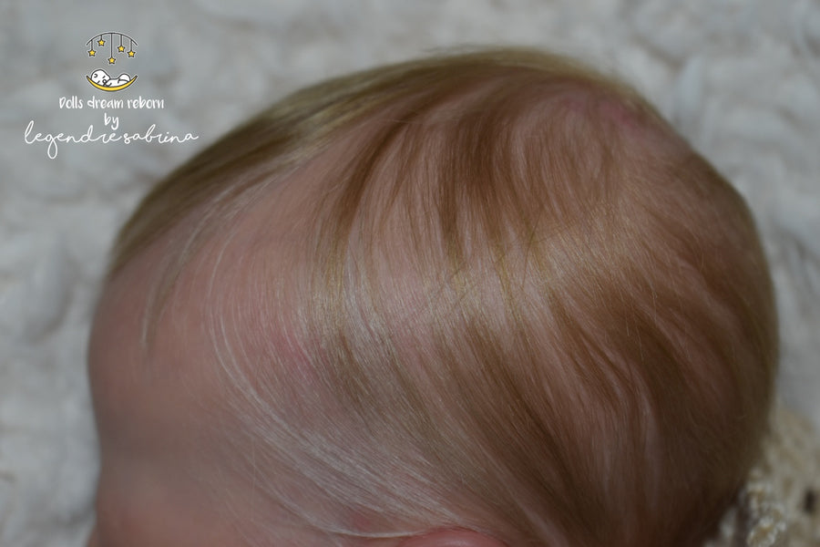 DOLLS DREAM REBORN — photo 6