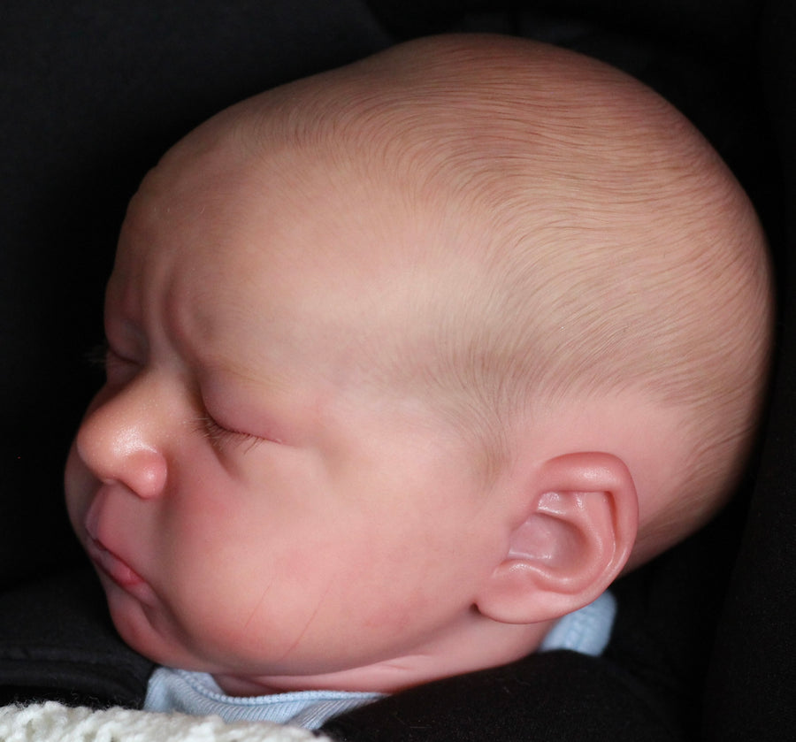 DOLLS AND KOE LLC — photo 3