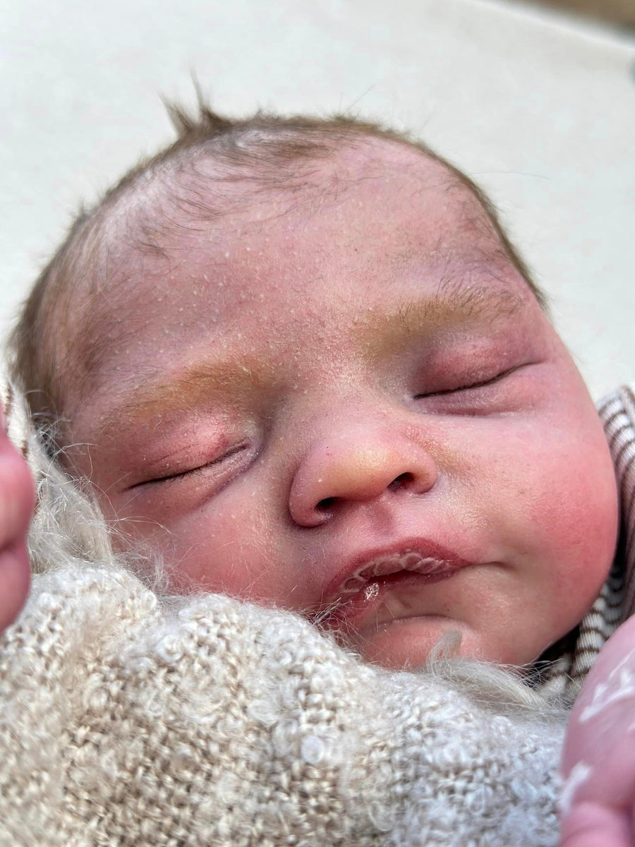 DREAM BABIES — photo 4