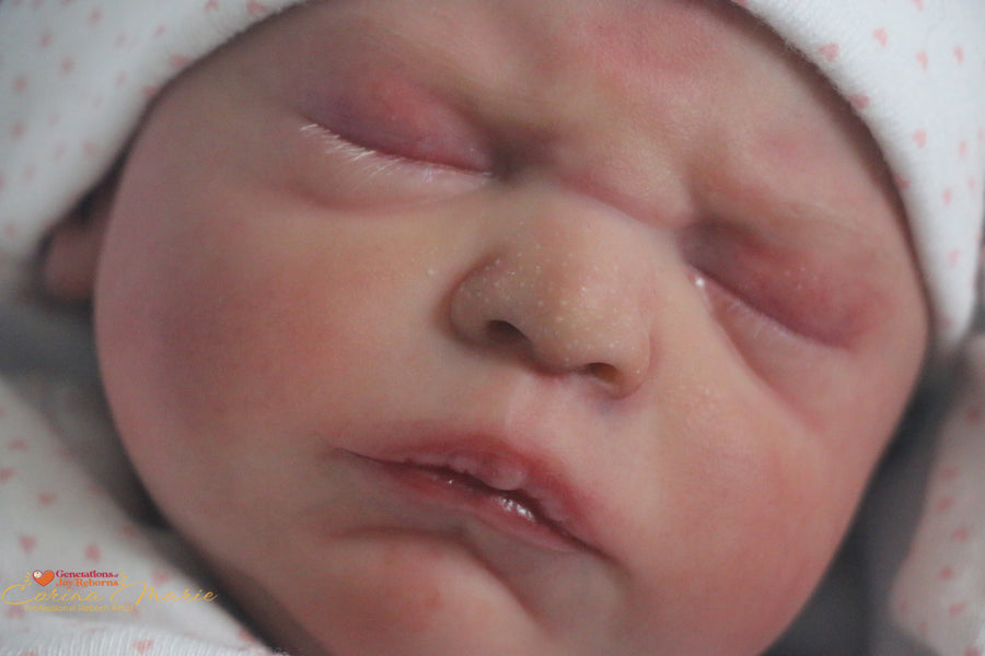 Generations of Joy Reborns — photo 4