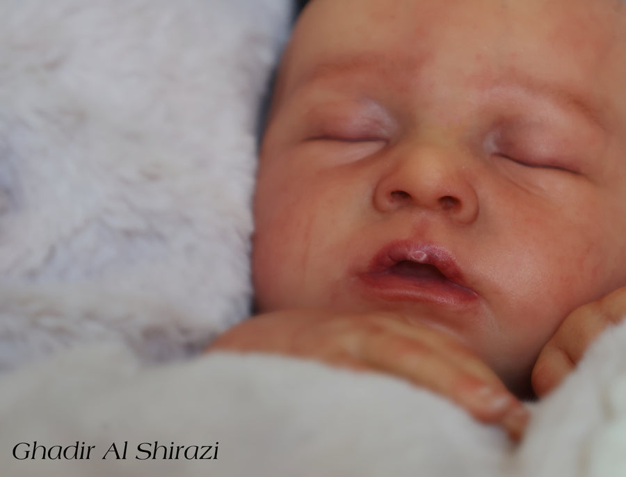 GHADIR AL SHIRAZI — photo 4
