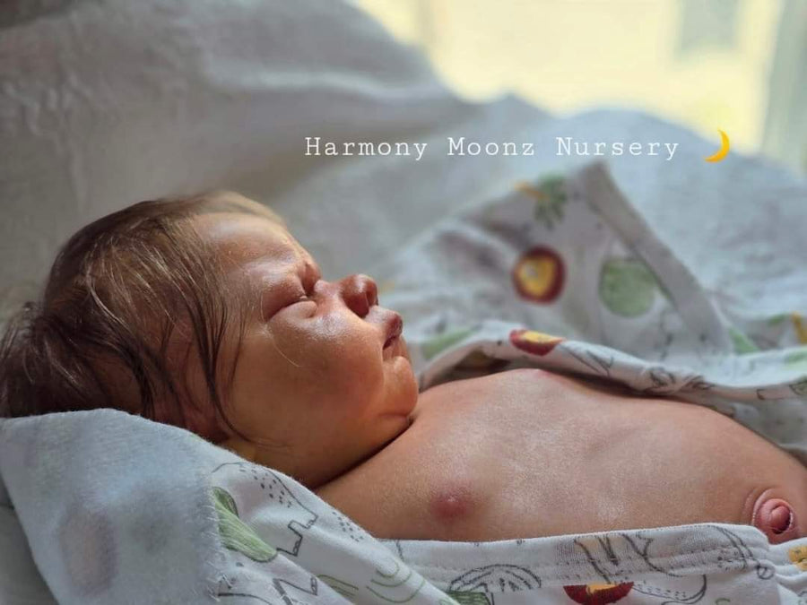 HARMONY MOONZ NURSERY — photo 2