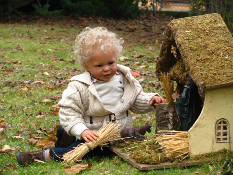 IL NIDO DELLA CICOGNA
