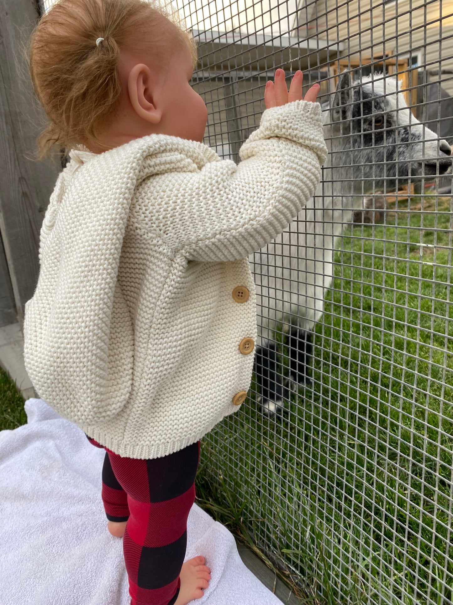 KOALA REBORN NURSERY
