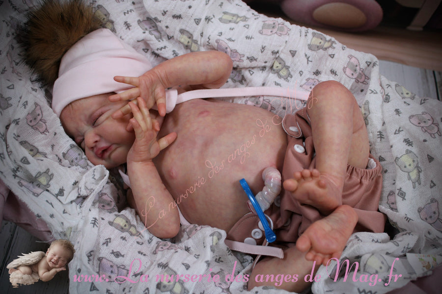 LA NURSERIE DES ANGES DE MAG — photo 4