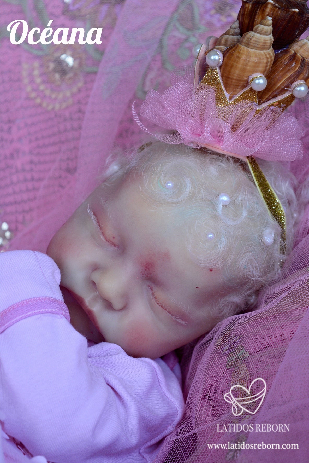 LATIDOS REBORN