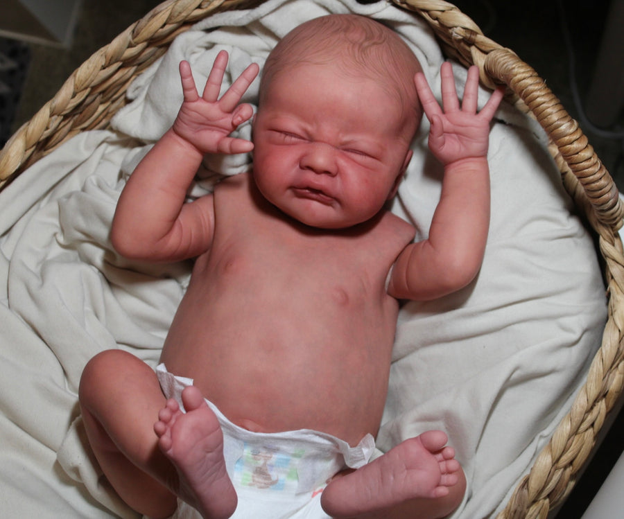 LIL LUV BUGS REBORNS — photo 10