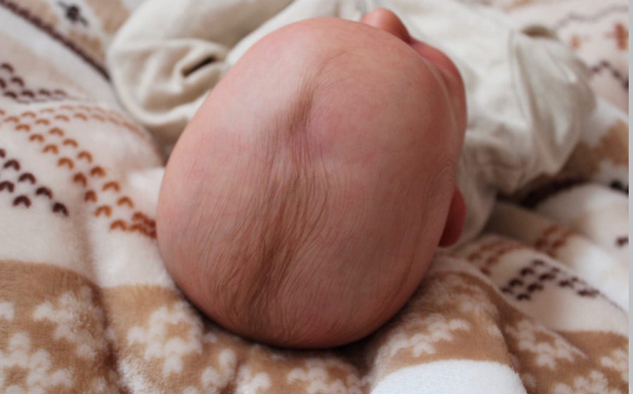 LIL MAD NURSERY — photo 8
