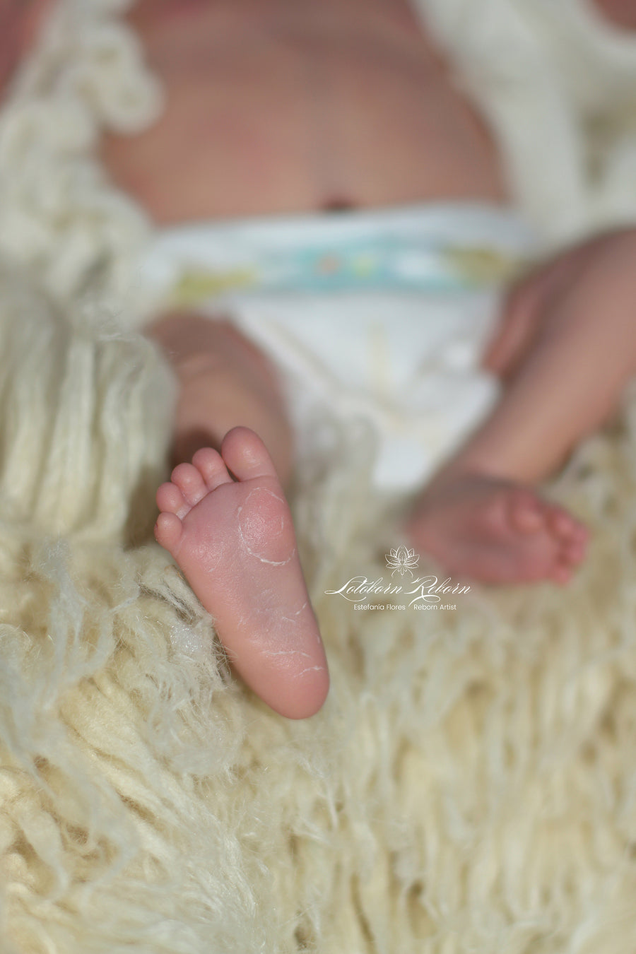 LOTOBORN REBORN — photo 7