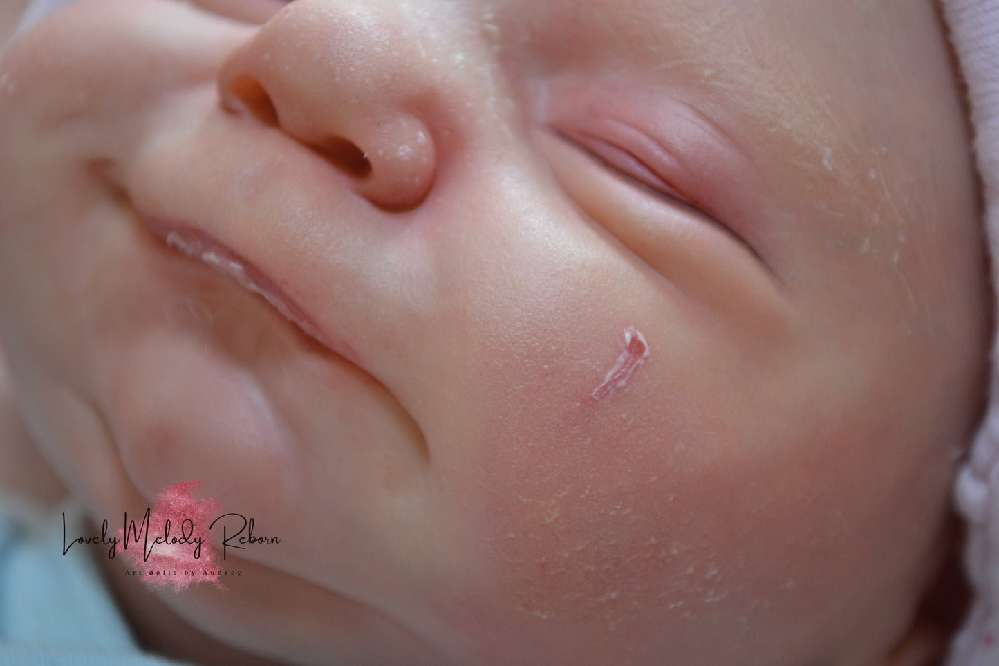 LOVELY MELODY REBORN