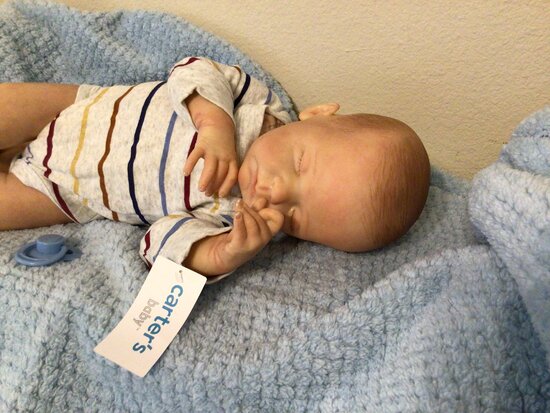 LYN'S REBORN BABES — photo 3