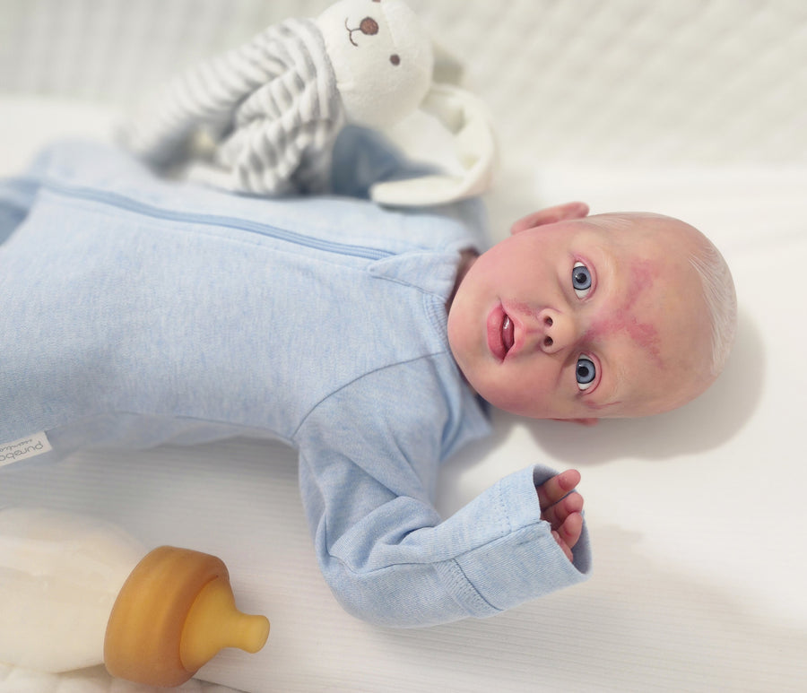 MADDIE BUGS REBORN NURSERY — photo 4