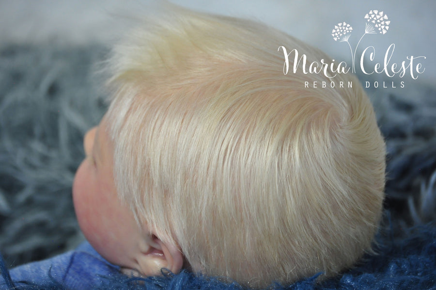 MARIA CELESTE REBORN DOLLS — photo 3