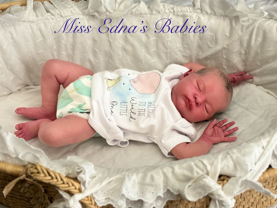 MISS EDNA’S BABIES — photo 7