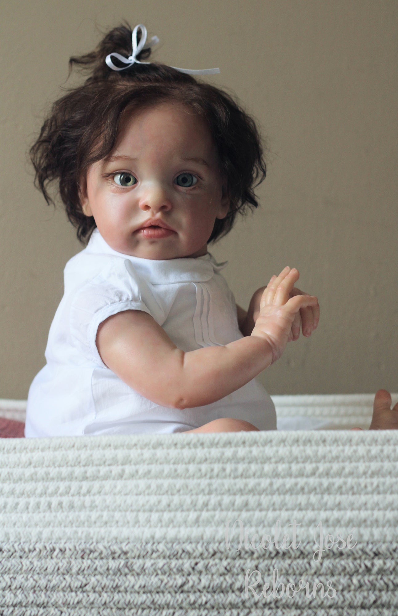 NICOLET JOSÉ REBORNS