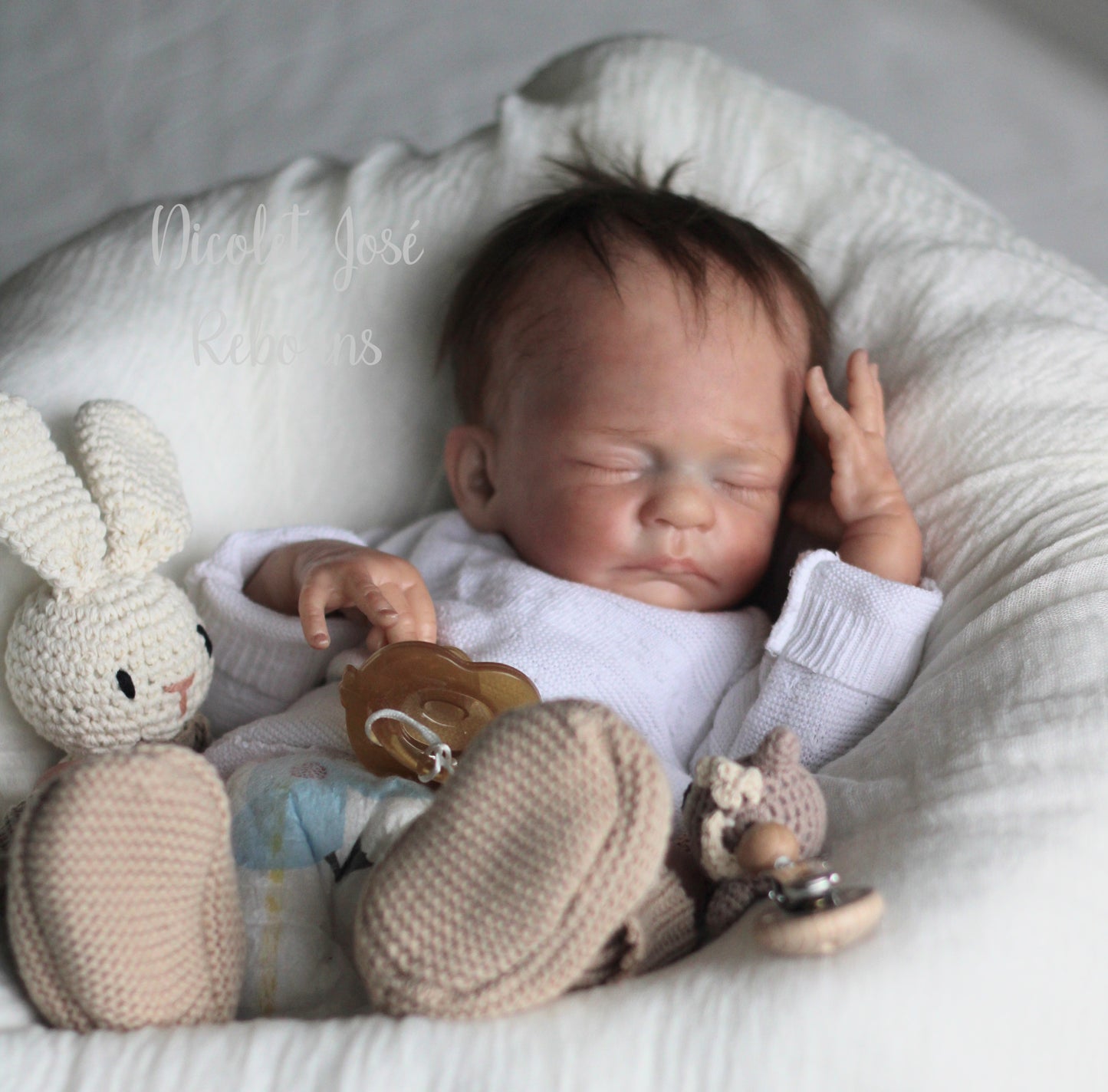 NICOLET JOSÉ REBORNS
