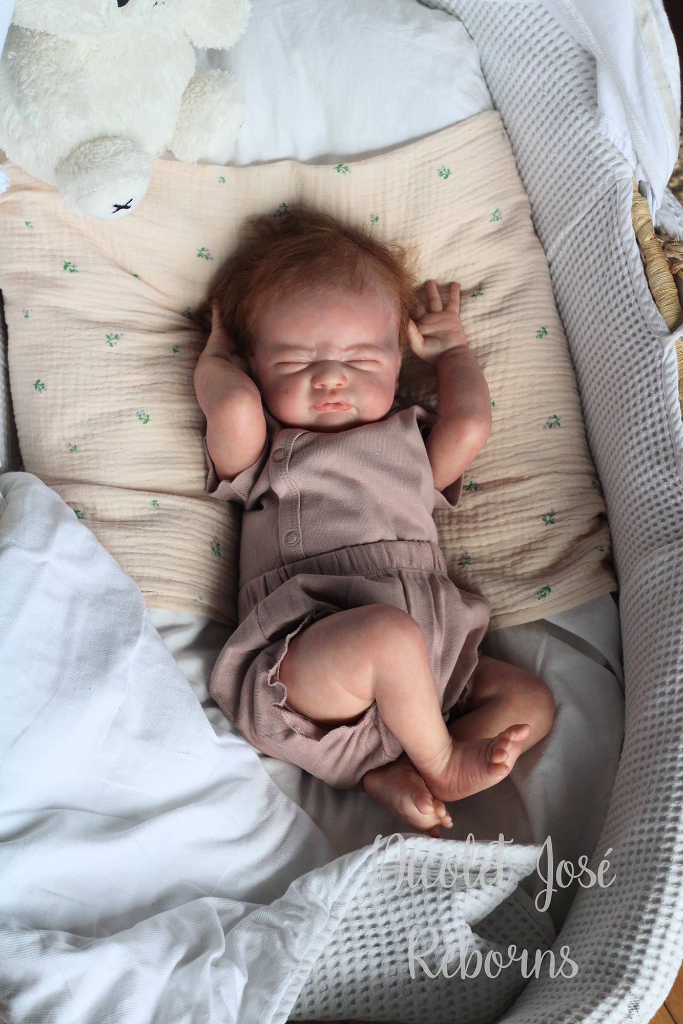 NICOLET JOSÉ REBORNS